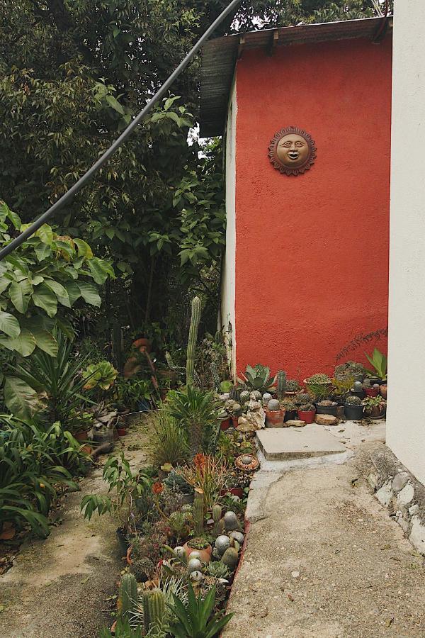 Cabana Campestre En Oaxaca Exteriör bild