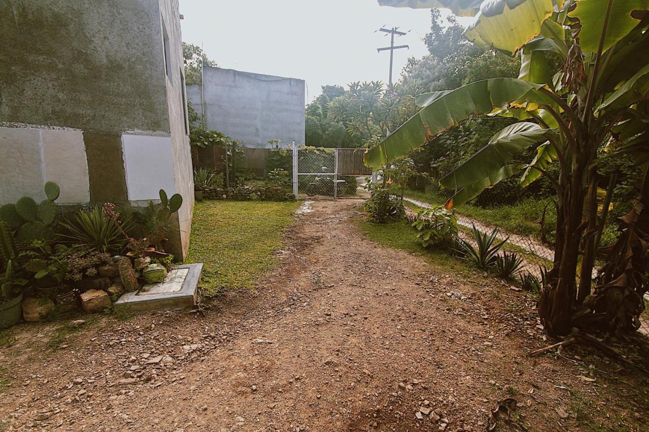 Cabana Campestre En Oaxaca Exteriör bild