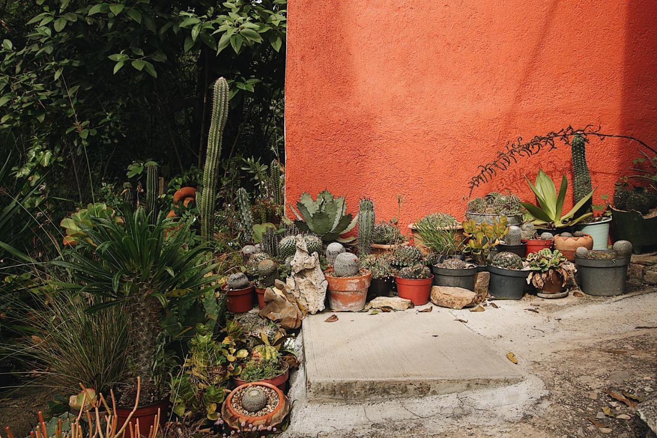 Cabana Campestre En Oaxaca Exteriör bild