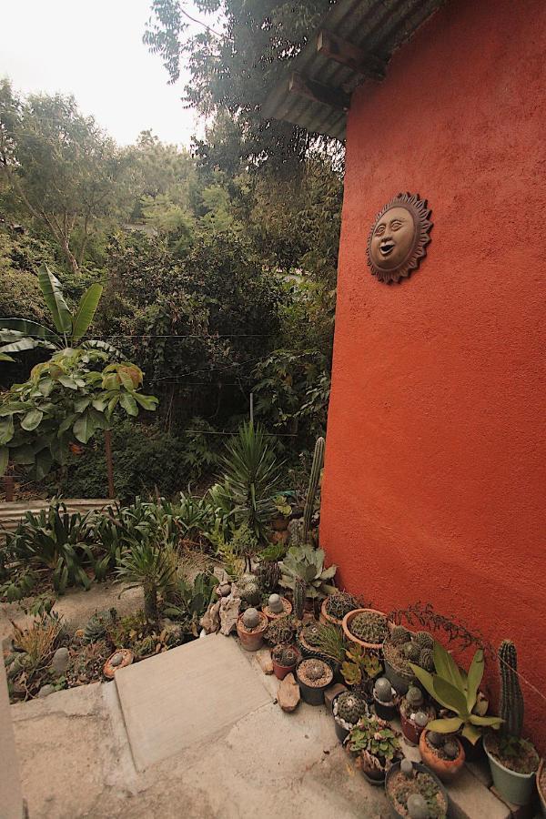 Cabana Campestre En Oaxaca Exteriör bild