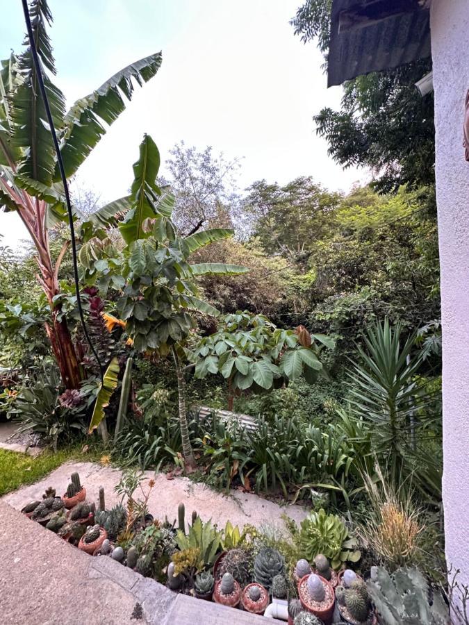 Cabana Campestre En Oaxaca Exteriör bild